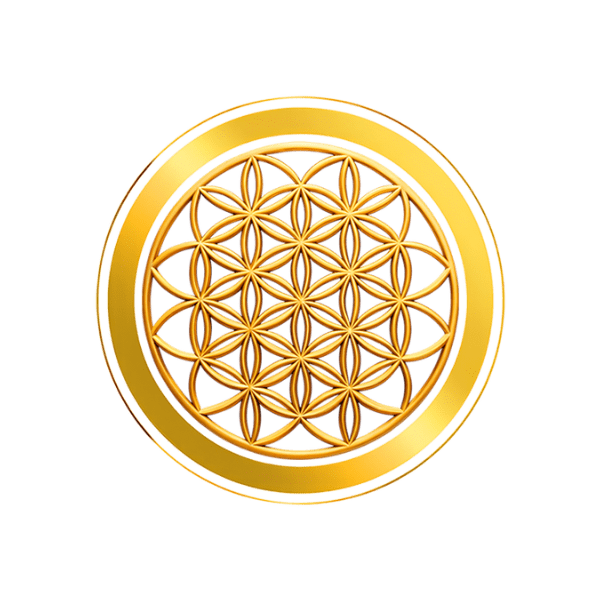 Flower of Life 13th Dimensions