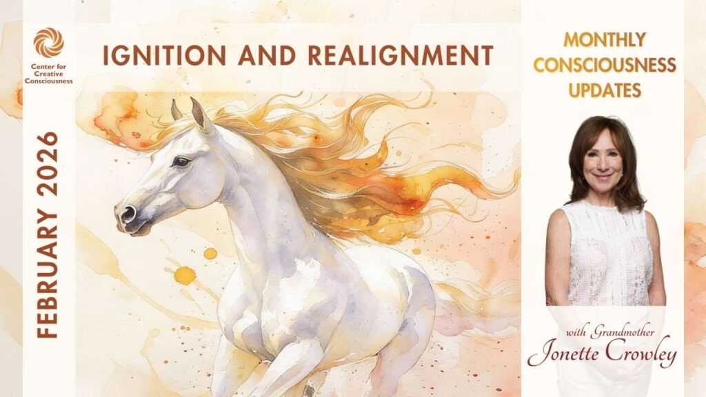 February 2026 Consciousness Update